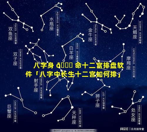 八字身 🐅 命十二宫排盘软件「八字中长生十二宫如何排」